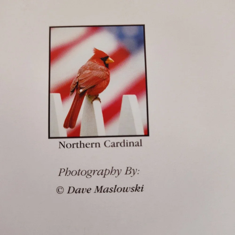 Set of two blank‎ Bird Note Cards Cardinal Goldfinch Blank Inside Stationery